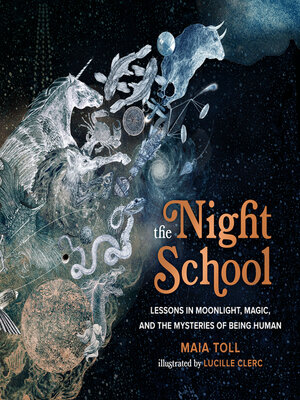 cover image of The Night School
